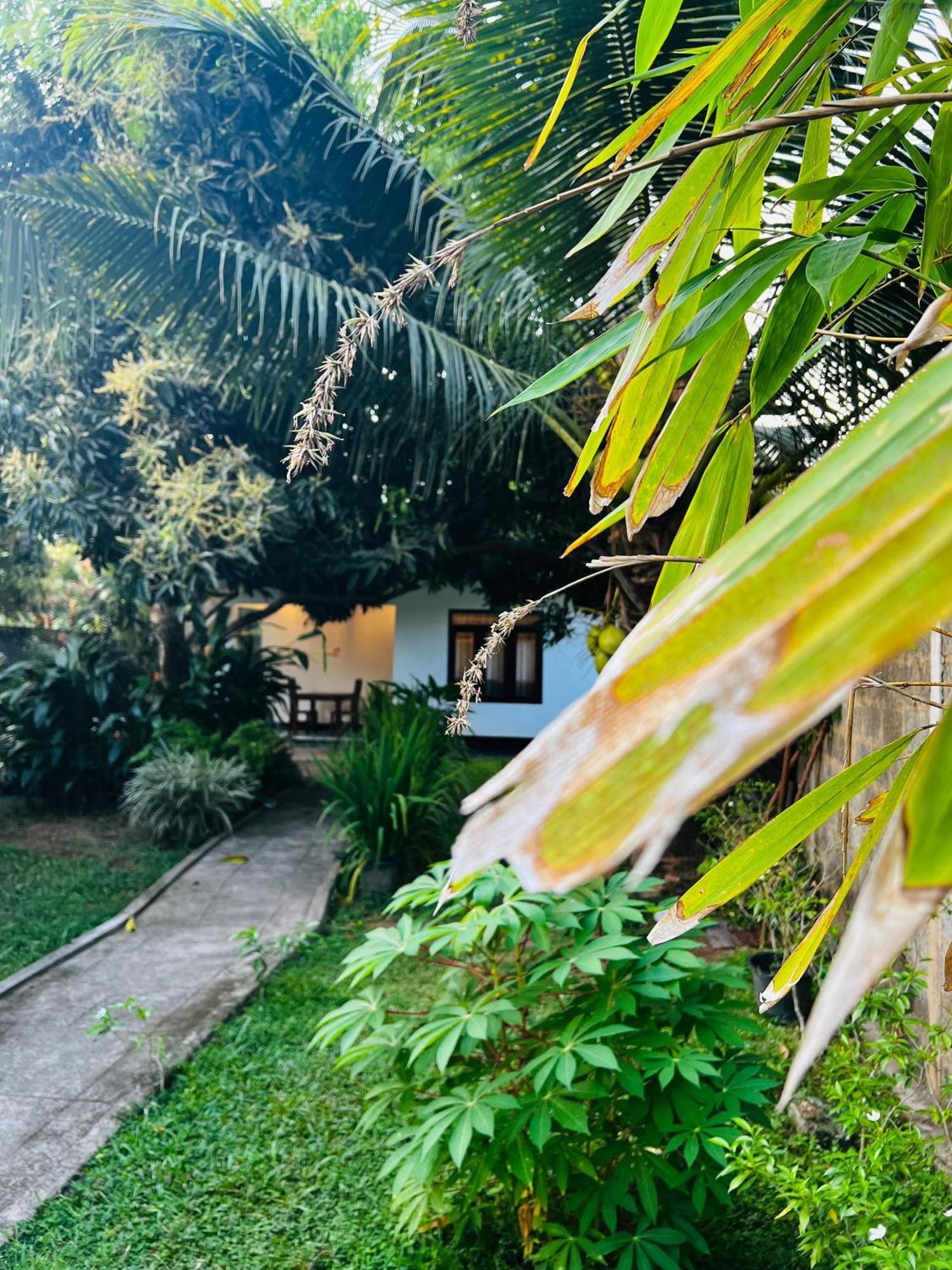 The Mango Retreat Villa Мириса Екстериор снимка