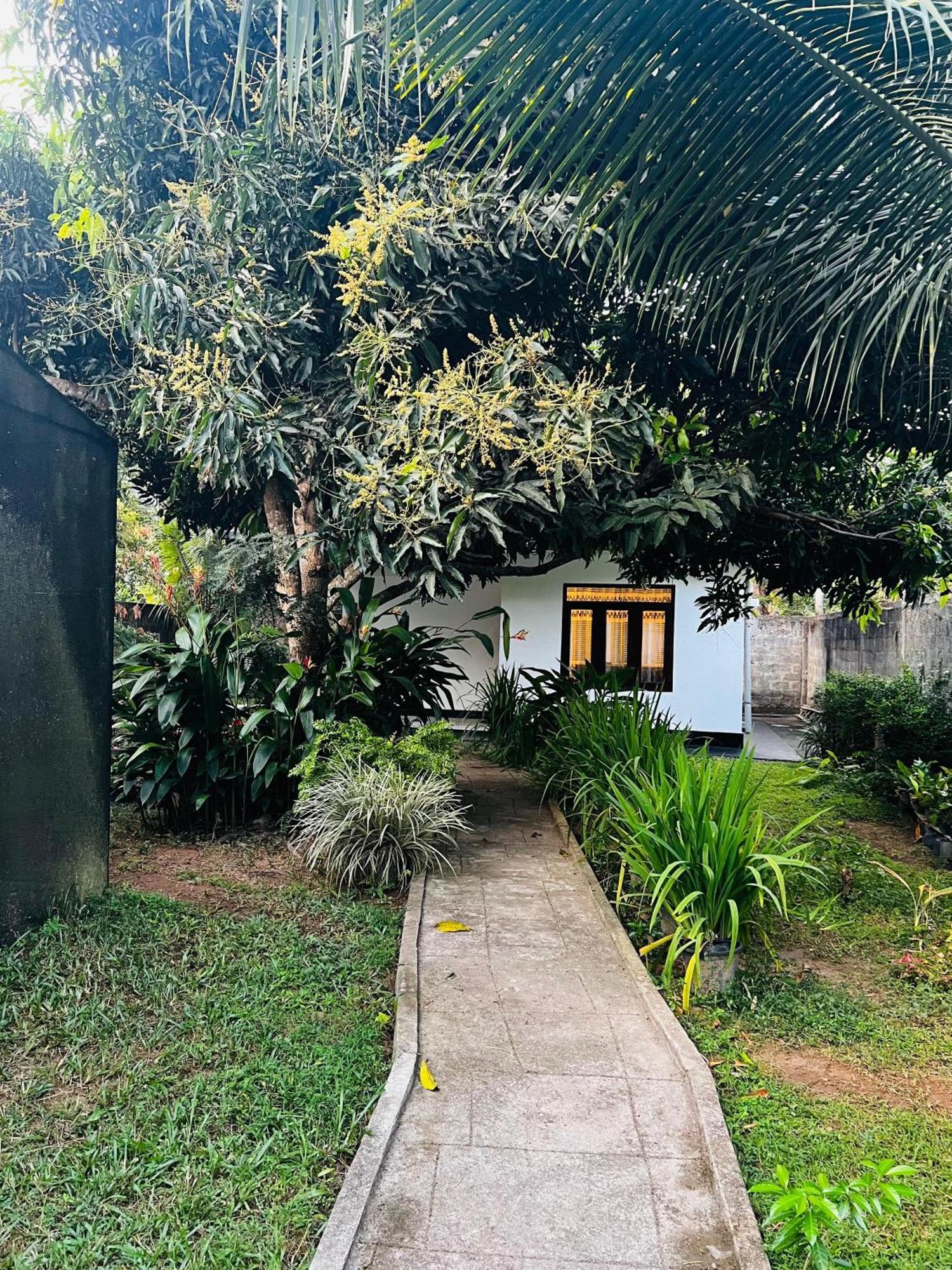 The Mango Retreat Villa Мириса Екстериор снимка